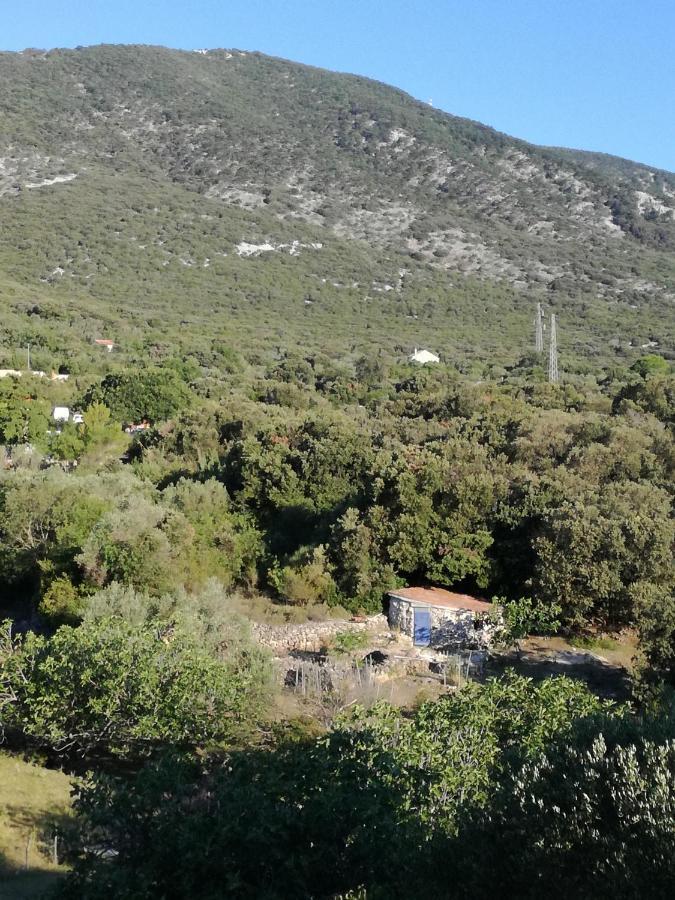Apartman Mi Nerezine Kültér fotó